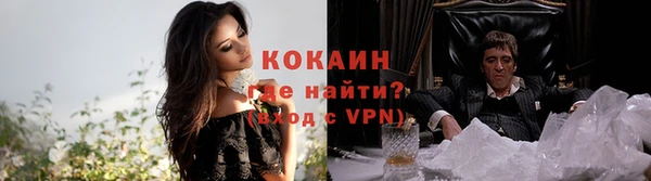 гашик Пересвет