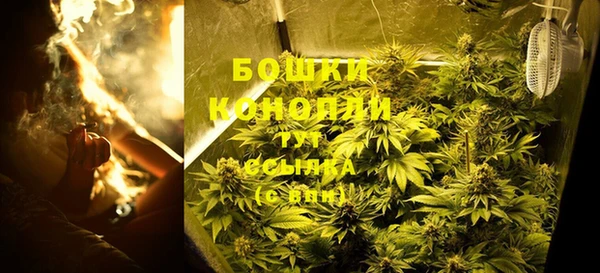 spice Алзамай