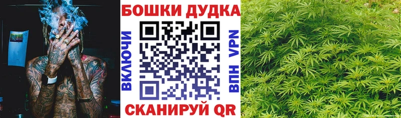 блэк спрут вход  Дубна  Канабис конопля 